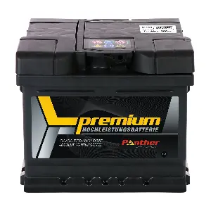 SB.5446533n PANTHER-BATTERIEN