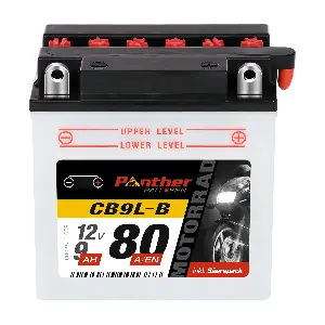 558144 PANTHER-BATTERIEN
