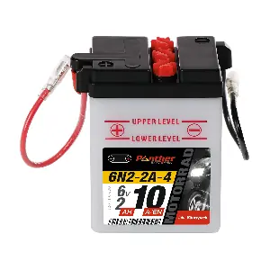 21100 PANTHER-BATTERIEN