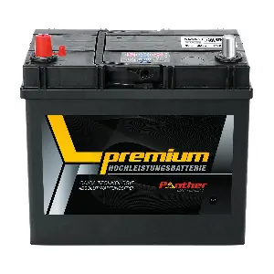 SB.5455133n PANTHER-BATTERIEN