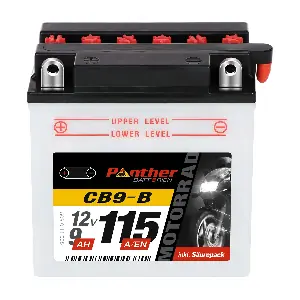MB5091477 PANTHER-BATTERIEN