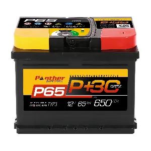 PANTHER-BATTERIEN SB.P65