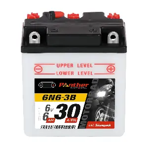 61100 PANTHER-BATTERIEN
