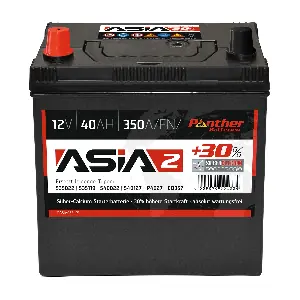 SB.ASIA02 PANTHER-BATTERIEN