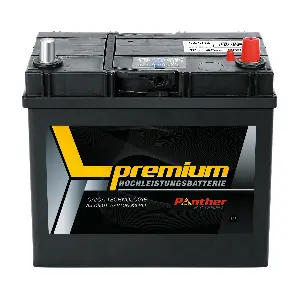 PANTHER-BATTERIEN SB.5458433n