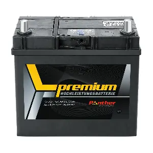 PANTHER-BATTERIEN SB.5452333