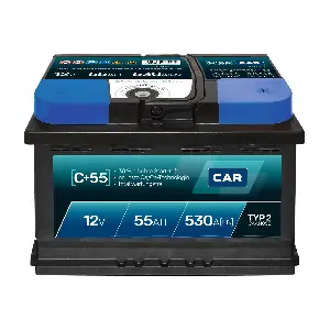 SB.C55 PANTHER-BATTERIEN