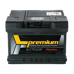 SB.5556533 PANTHER-BATTERIEN