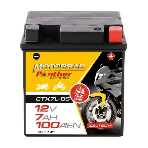 GB.5061477 PANTHER-BATTERIEN