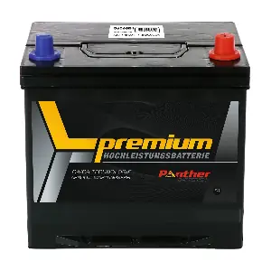 SB.5606833B01 PANTHER-BATTERIEN