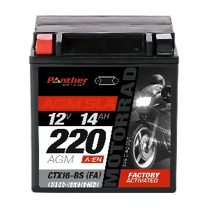 MB5144533 PANTHER-BATTERIEN