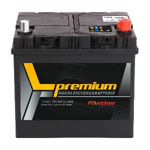 SB.5606833 PANTHER-BATTERIEN