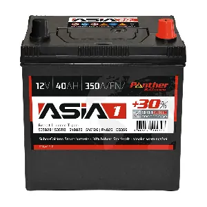 SB.ASIA01 PANTHER-BATTERIEN