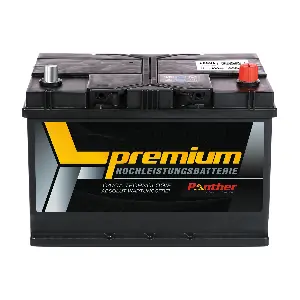 SB.6003633 PANTHER-BATTERIEN