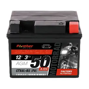 MB.5031433 PANTHER-BATTERIEN