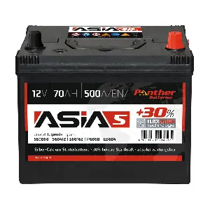 SB.ASIA05 PANTHER-BATTERIEN