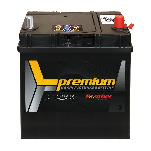 SB.5352033 PANTHER-BATTERIEN