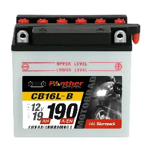 558166 PANTHER-BATTERIEN