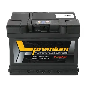 SB.5621933 PANTHER-BATTERIEN