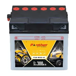 5303400 PANTHER-BATTERIEN