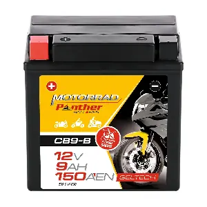 549640 PANTHER-BATTERIEN