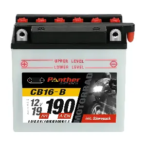558168 PANTHER-BATTERIEN
