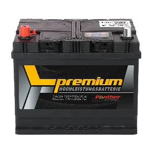 069 PANTHER-BATTERIEN