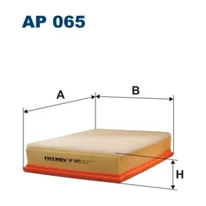 FILTRON AP065
