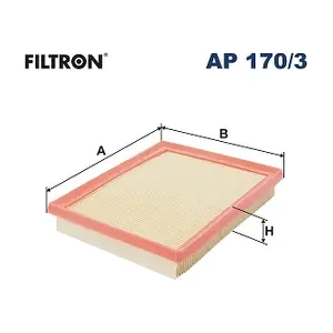 FILTRON AP1703