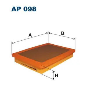 FILTRON AP098
