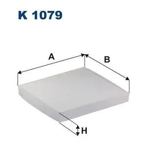FILTRON K1079