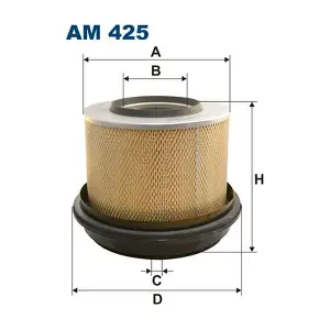 FILTRON AM425