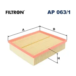 FILTRON AP063/1