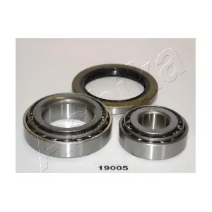 ASHIKA 44-19005