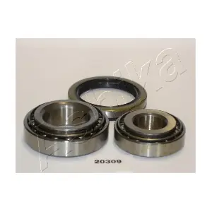 44-20309 ASHIKA