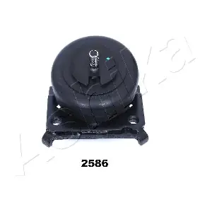 GOM-2586 ASHIKA