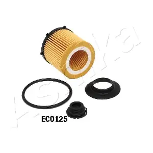 10-ECO125 ASHIKA