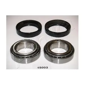 44-15003 ASHIKA
