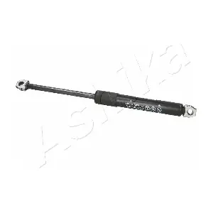 ZSA01000 ASHIKA