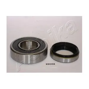 ASHIKA 44-29002