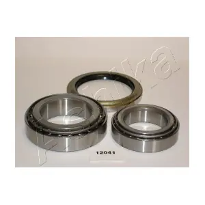 44-12041 ASHIKA