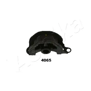 GOM-4065 ASHIKA
