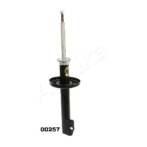 MA-00257 ASHIKA
