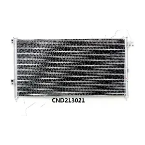 CND213021 ASHIKA