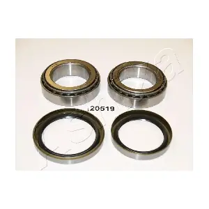 44-20519 ASHIKA