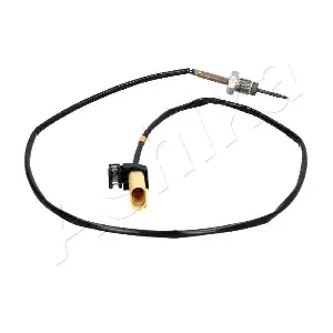161-00-0904 ASHIKA