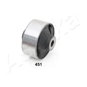 GOM451 ASHIKA
