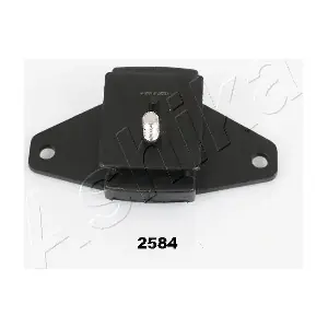 GOM-2584 ASHIKA