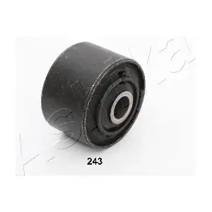 GOM-243 ASHIKA