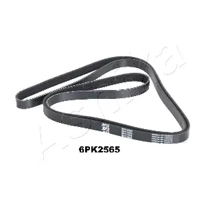 1126PK2565 ASHIKA